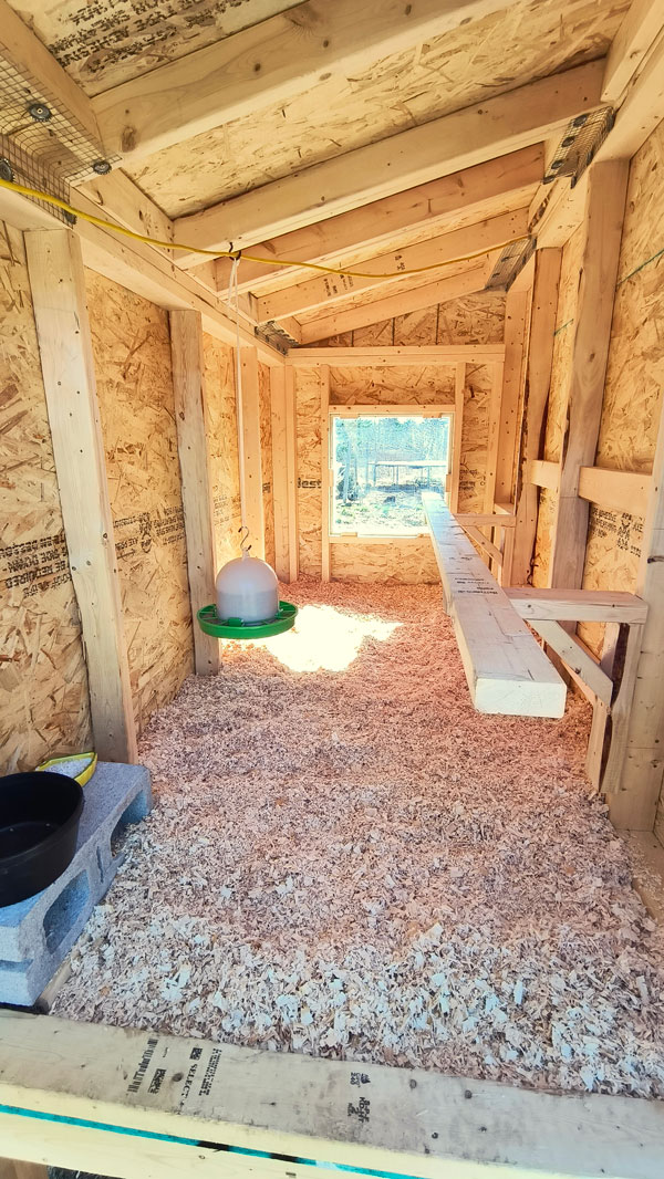 Inside of a chicken coop.