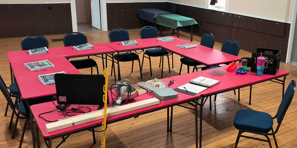 Feathered Fundamentals workshop setup