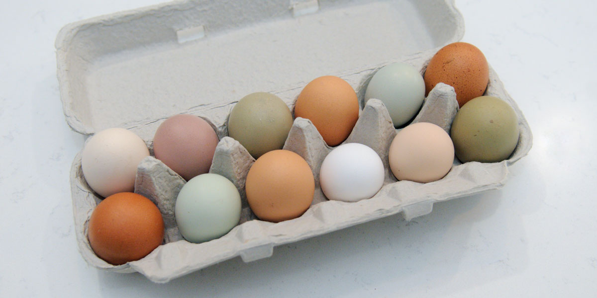 Colorful eggs in a carton.
