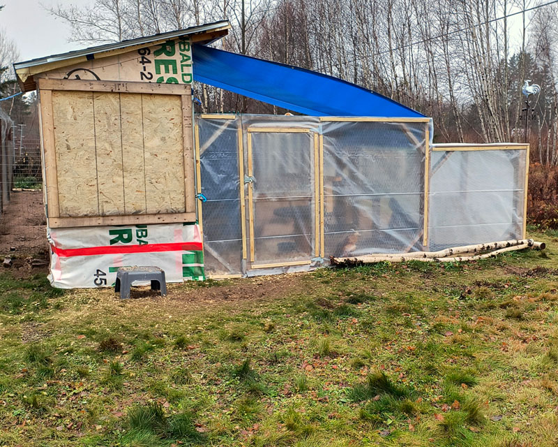 A chicken run wrapped in plastic for the winter.